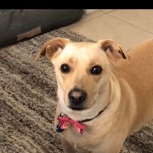 Meet your Posher, Treva